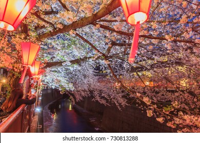 Beautiful sakura cherry blossom in Nagameguro canel with light up at sunset, spring season in Japan - Powered by Shutterstock