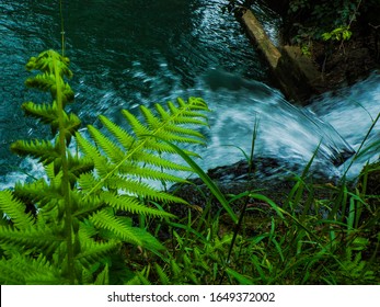 Beautiful San Marcos River Waterfall