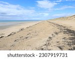 Beautiful sand beach in Agon-Coutainville, Cotentin peninsula, Normandy, France