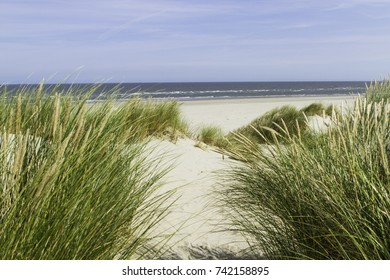 Beautiful sand dunes with dune grass on the North Sea coast.