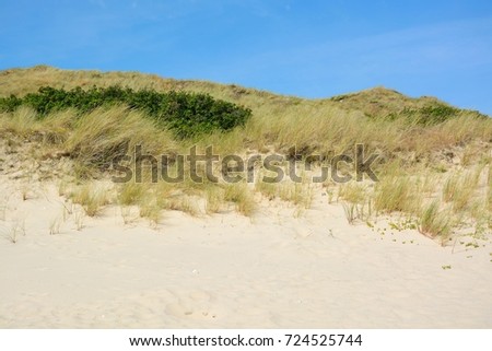 Beautiful sand dunes on the North Sea coast of Sylt, North Frisian Islands, Germany