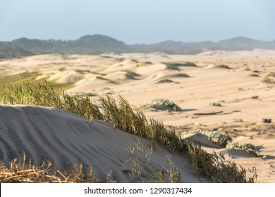 Beautiful Sand Dunes In St. Lucia In South Africa