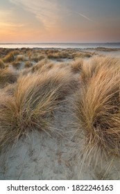 Beautiful Sand Dunes Of West Wittering Beach In Sussex