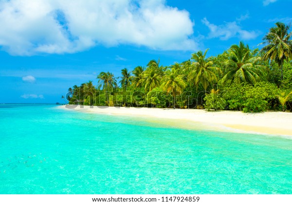 Beautiful Sandy Beach Sunbeds Umbrellas Indian Stock Photo 1147924859 ...
