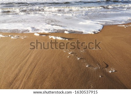 Beautiful sandy beach in winter in Tylosand, Sweden