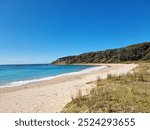 Beautiful sandy Depot Beach with littoral rainforest growing down to the sand Located on the New South Wales south coast, Australia