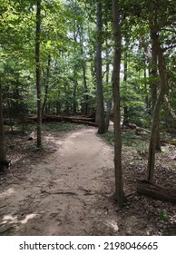 Beautiful Sandy Path Leading To The River