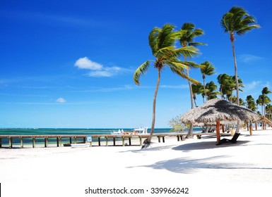 Beautiful At Sandy Tropical Beach In Punta Cana, Bavaro