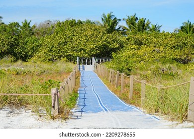 Beautiful Sanibel Island Beach In Fort Myers, Florida, USA