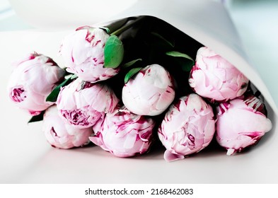 Beautiful Sarah Bernardt Peony Bouquet For Woman Stock Photo