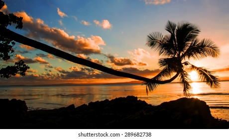 Beautiful Savusavu, Fiji At Sunset