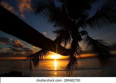 Beautiful Savusavu, Fiji At Sunset