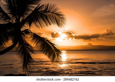 Beautiful Savusavu, Fiji At Sunset