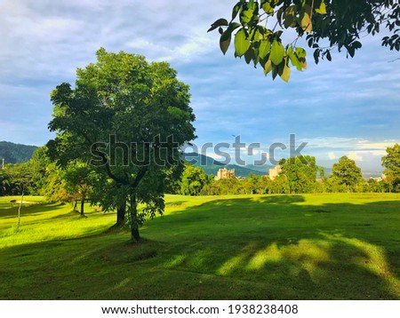 Beautiful scenary of blue sky and greeny hill