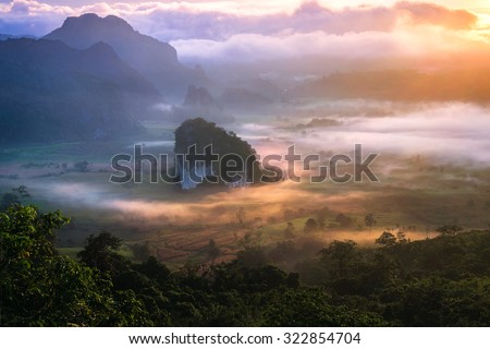 beautiful scenary in the north part of Thailand over the valley of mountain at sun rising giving a beautiful color on the mist in the field (selective focus and white balance shifting applied)
