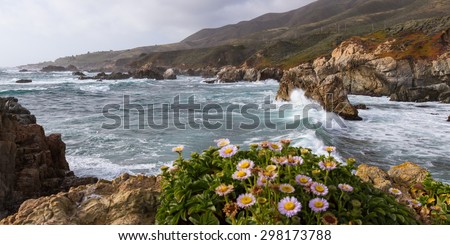 coastal line coastline