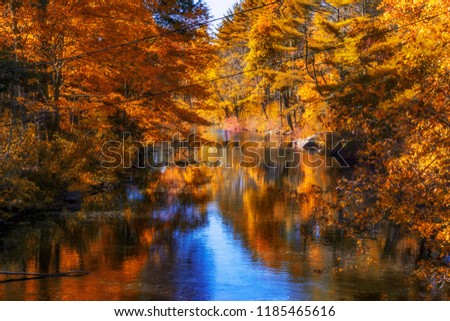 Similar – Image, Stock Photo Afternoon at the lake