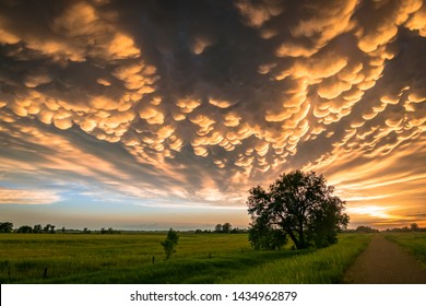 Beautiful Scene Of The Great Plains, USA At Sunset. Lone Tree Below Colorful Mammatus Clouds At The Back Of A Supercell Thunderstorm.