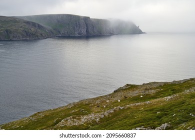 A beautiful scene of landscape with grazing reindeer, green cliff on the water at Nordkapp, Norway