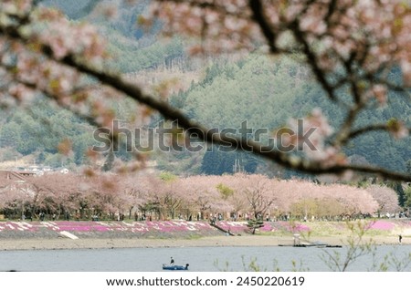 A beautiful scene of a river with cherry blossoms in the background. People are enjoying the view and the peaceful atmosphere