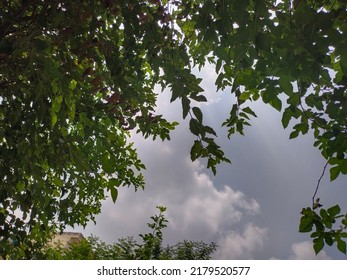 A Beautiful Scenery After Rain And Blue Cloudy Sky Sun Is Blazing Hot