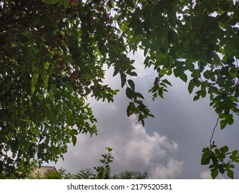 A Beautiful Scenery After Rain And Blue Cloudy Sky Sun Is Blazing Hot