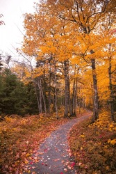 Beautiful Scenery Of Autumn Fall Foliage Colors Inside Cape Breton Highlands National Park. Franey Trail. Autumn Colors Of Cape Breton, Nova Scotia. Cabot Trail Fall Foliage Landscape Hiking. 