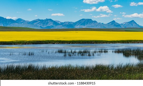 Beautiful scenery of farmland in the foothills of Alberta Canada, with mountains, Canola fields, and prairie wetlands. - Powered by Shutterstock