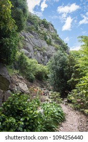 Beautiful Scenery With Lush Flora And Natural Rock Face At The Lady Thorn Rhododendron Dell Public Garden In Port Chalmers, New Zealand