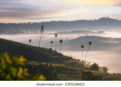 Beautiful scenery and morning mist at Kong Niam Temple Khao Kho Viewpoint Famous winter attractions in Phetchabun, Thailand.