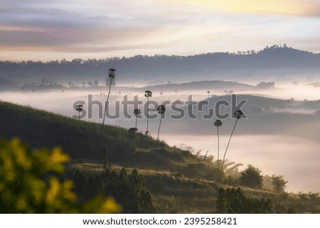 Beautiful scenery and morning mist at Kong Niam Temple Khao Kho Viewpoint Famous winter attractions in Phetchabun, Thailand.