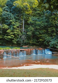 Beautiful Scenery Of Nature At Alvin C. York Park 