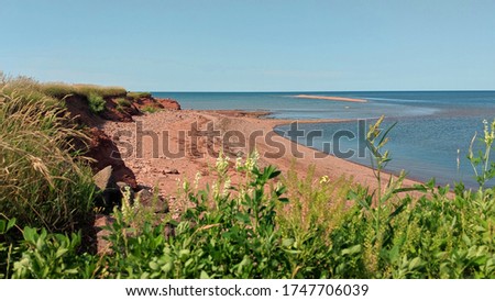 Beautiful scenery of North Cape, PEI, where the sun shines against the red sand beach by the ocean and the flowers and plants sway with the wind.
