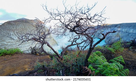 Beautiful Scenery On Mount Ijen Banyuwangi