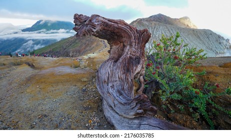 Beautiful Scenery On Mount Ijen Banyuwangi