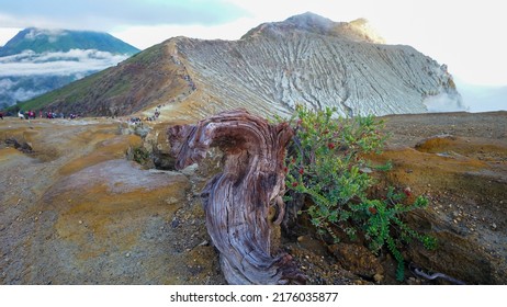 Beautiful Scenery On Mount Ijen Banyuwangi