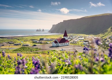 Beautiful scenery of Reyniskirkja church with Lupine flower blooming near mountain and the beach on summer in Vik Town at South of Iceland