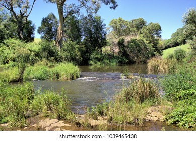 Beautiful Scenery Of River Water And Forest In Australia. Bielsdown River In Australian Countryside Town Of Dorrigo. Water Is Surrounded By Thick Australian Bush. River Flowing Through Jungle