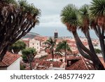 Beautiful scenery of the roofs of La Orotava in Tenerife