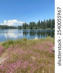 Beautiful scenery in Shaver Lake, California 