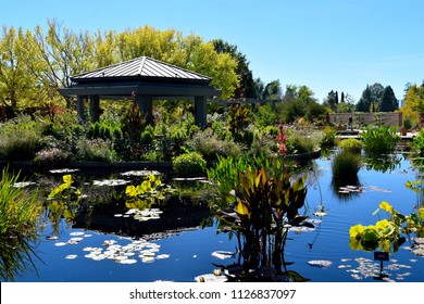 Denver Botanical Garden Images Stock Photos Vectors Shutterstock