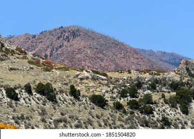 The Beautiful And Scenic Colorado Springs Is Home To Several Of Colorado's State Parks.