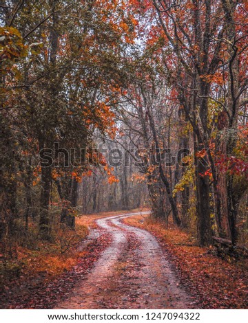 Beautiful scenic drive on the Old Natchez Trace in Tennessee