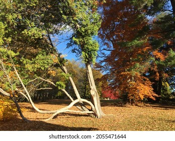 The Beautiful Scenic Hudson Valley Folliage.