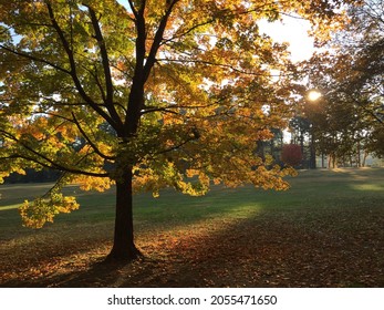 The Beautiful Scenic Hudson Valley Folliage.