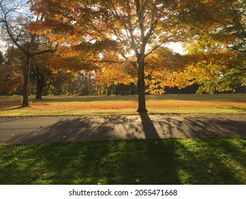 The Beautiful Scenic Hudson Valley Folliage.