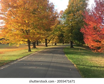 The Beautiful Scenic Hudson Valley Folliage.