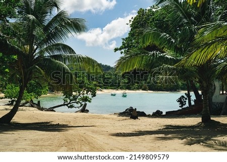Beautiful scenic landscape view of Playa Rincon at Samana Island at Dominican Republic
