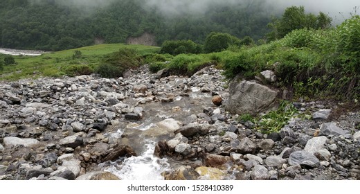 Beautiful Scenic Natural Landscape Views From Valley Of Flowers National Park India