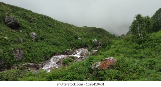 Beautiful Scenic Natural Landscape Views From Valley Of Flowers National Park India